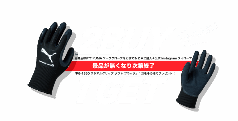 2buy1get lp img top
